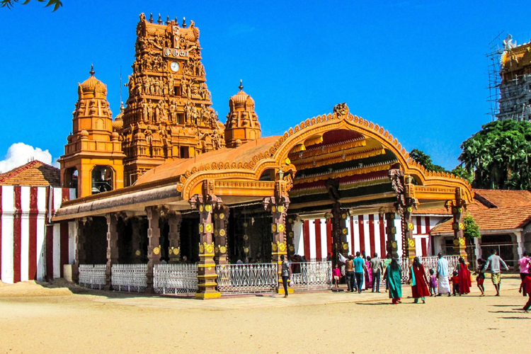  நல்லருட் கருணை புரியும் நல்லூர்க் கந்தப் பெருமான்