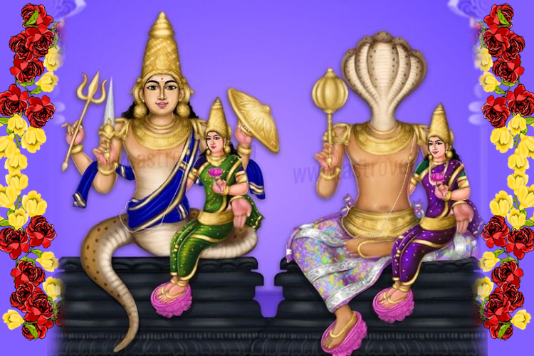 இராகு - கேது பரிகார முறைகள்!