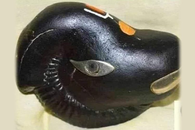 சாளக்ராமத்தில் வராஹமூர்த்தி மிக மிக அபூர்வம்!