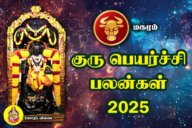 குரு பெயர்ச்சி பலன்கள் - 2025 - மகரம்