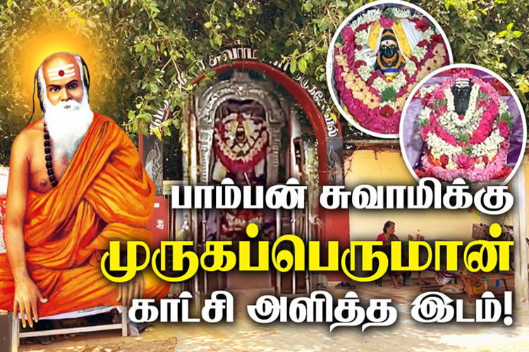 பாம்பன் சுவாமிக்கு முருகப்பெருமான் காட்சி! 